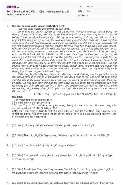 Bộ 10 đề thi cuối kỳ 2 Văn 11 Chân trời sáng tạo cấu trúc mới có đáp án - Đề 6