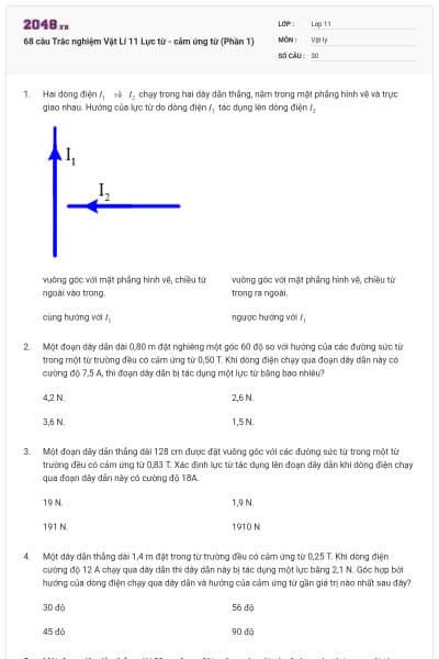 68 câu Trắc nghiệm Vật Lí 11 Lực từ - cảm ứng từ (Phần 1)