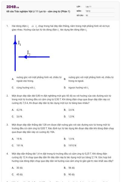 68 câu Trắc nghiệm Vật Lí 11 Lực từ - cảm ứng từ (Phần 1)