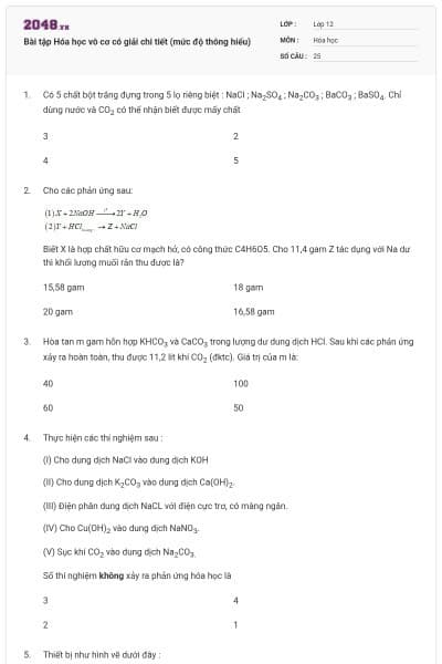 Bài tập Hóa học vô cơ có giải chi tiết (mức độ thông hiểu)