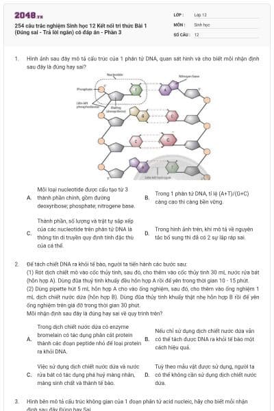 254 câu trắc nghiệm Sinh học 12 Kết nối tri thức Bài 1 (Đúng sai - Trả lời ngắn) có đáp án - Phần 3