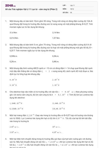 68 câu Trắc nghiệm Vật Lí 11 Lực từ - cảm ứng từ (Phần 2)