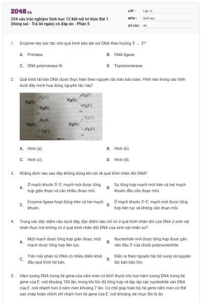 254 câu trắc nghiệm Sinh học 12 Kết nối tri thức Bài 1 (Đúng sai - Trả lời ngắn) có đáp án - Phần 5