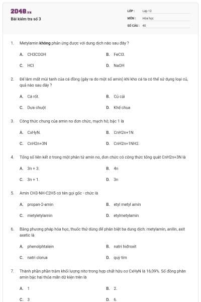 Bài kiểm tra số 3