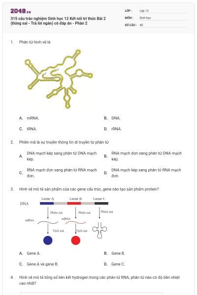 315 câu trắc nghiệm Sinh học 12 Kết nối tri thức Bài 2 (Đúng sai - Trả lời ngắn) có đáp án - Phần 2