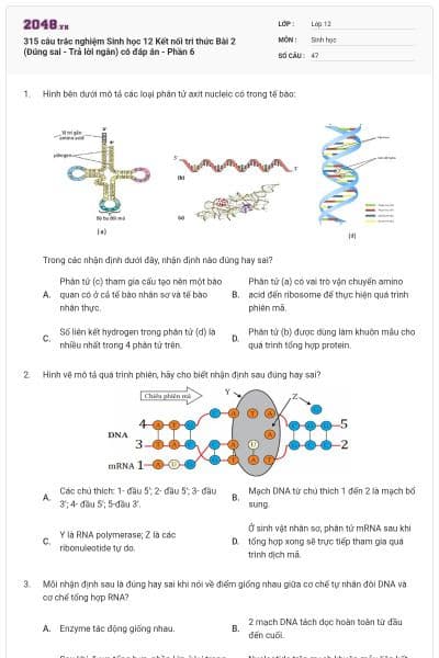 315 câu trắc nghiệm Sinh học 12 Kết nối tri thức Bài 2 (Đúng sai - Trả lời ngắn) có đáp án - Phần 6