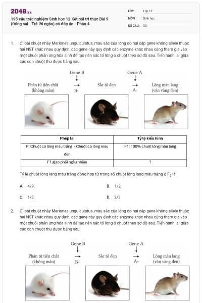 195 câu trắc nghiệm Sinh học 12 Kết nối tri thức Bài 9 (Đúng sai - Trả lời ngắn) có đáp án - Phần 4