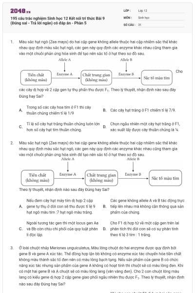 195 câu trắc nghiệm Sinh học 12 Kết nối tri thức Bài 9 (Đúng sai - Trả lời ngắn) có đáp án - Phần 5