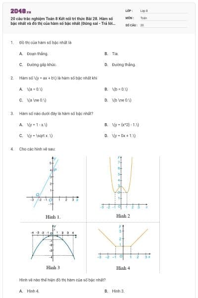 20 câu trắc nghiệm Toán 8 Kết nối tri thức Bài 28. Hàm số bậc nhất và đồ thị của hàm số bậc nhất (Đúng sai - Trả lời ngắn) có đáp án