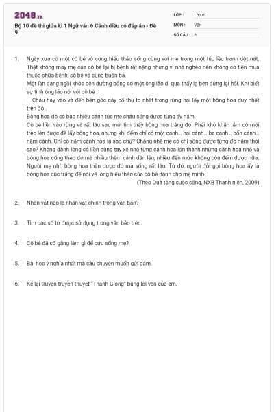 Bộ 10 đề thi giữa kì 1 Ngữ văn 6 Cánh diều có đáp án - Đề 9