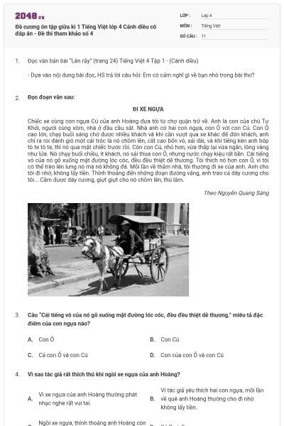 Đề cương ôn tập giữa kì 1 Tiếng Việt lớp 4 Cánh diều có đáp án - Đề thi tham khảo số 4
