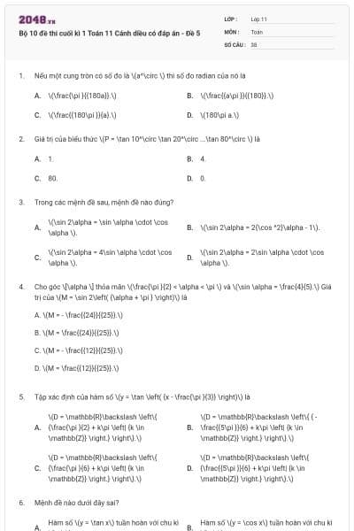 Bộ 10 đề thi cuối kì 1 Toán 11 Cánh diều có đáp án - Đề 5