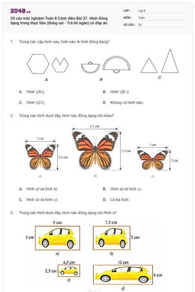 20 câu trắc nghiệm Toán 8 Cánh diều Bài 37. Hình đồng dạng trong thực tiễn (Đúng sai - Trả lời ngắn) có đáp án
