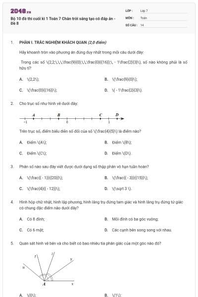 Bộ 10 đề thi cuối kì 1 Toán 7 Chân trời sáng tạo có đáp án - Đề 8