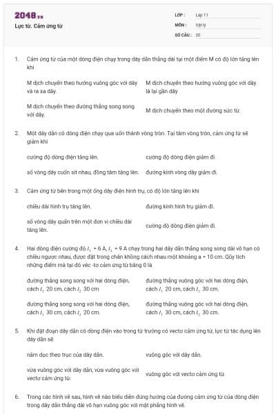 Lực từ. Cảm ứng từ