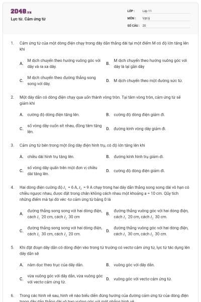 Lực từ. Cảm ứng từ