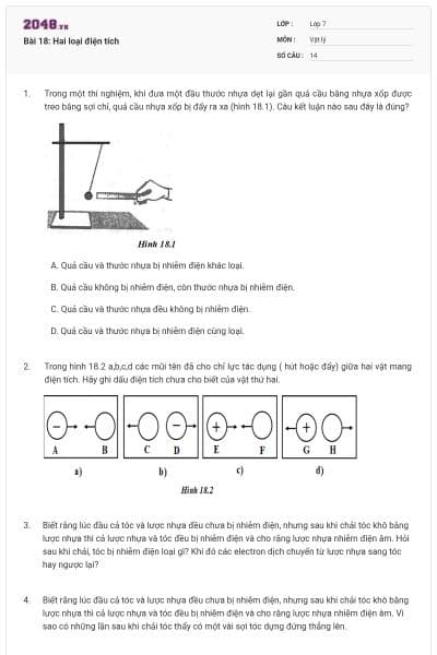 Bài 18: Hai loại điện tích