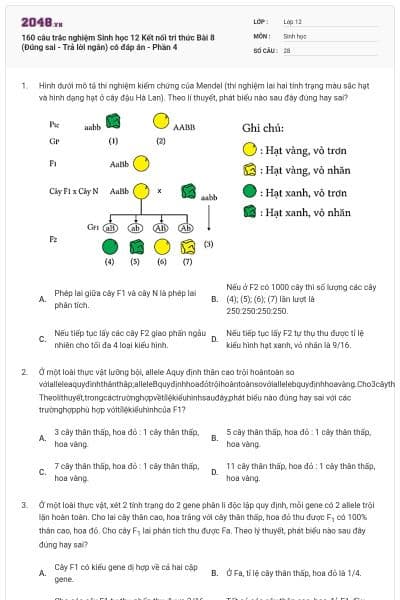 160 câu trắc nghiệm Sinh học 12 Kết nối tri thức Bài 8 (Đúng sai - Trả lời ngắn) có đáp án - Phần 4