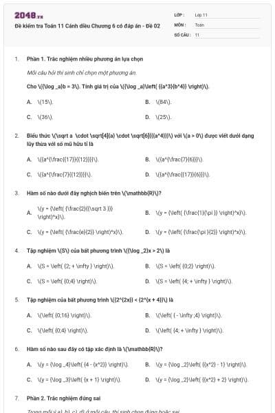Đề kiểm tra Toán 11 Cánh diều Chương 6 có đáp án - Đề 02