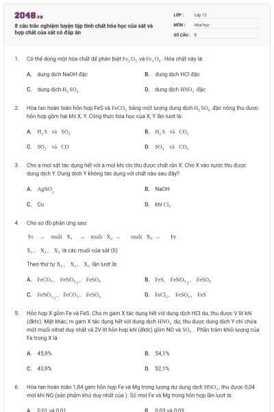 8 câu trắc nghiệm luyện tập tính chất hóa học của sắt và hợp chất của sắt có đáp án