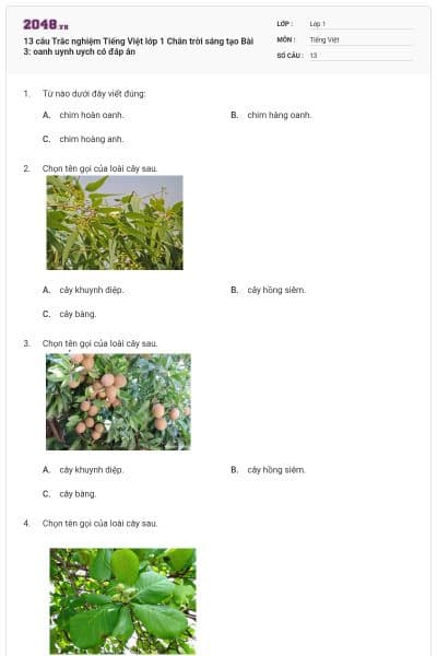 13 câu Trắc nghiệm Tiếng Việt lớp 1 Chân trời sáng tạo Bài 3: oanh uynh uych có đáp án