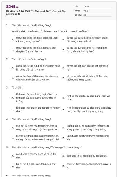 Đề kiêm tra 1 tiết Vật lí 11 Chương 4: Từ Trường (có đáp án) (Đề số 1)