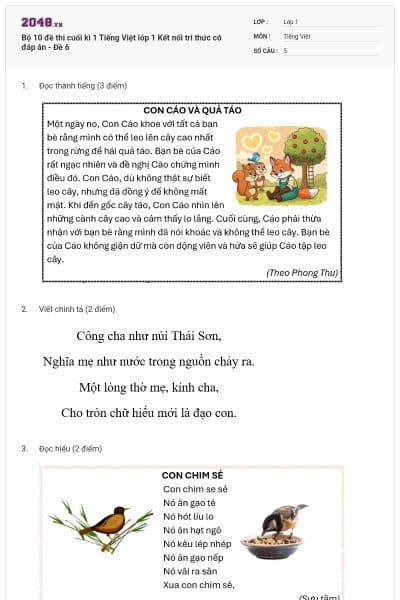 Bộ 10 đề thi cuối kì 1 Tiếng Việt lớp 1 Kết nối tri thức có đáp án - Đề 6