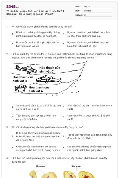 75 câu trắc nghiệm Sinh học 12 Kết nối tri thức Bài 19 (Đúng sai - Trả lời ngắn) có đáp án - Phần 2