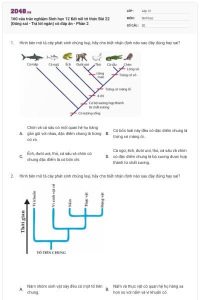 160 câu trắc nghiệm Sinh học 12 Kết nối tri thức Bài 22 (Đúng sai - Trả lời ngắn) có đáp án - Phần 2