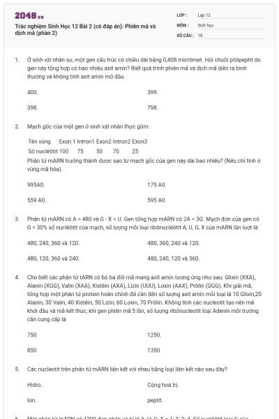 Trắc nghiệm Sinh Học 12 Bài 2 (có đáp án): Phiên mã và dịch mã (phần 2)
