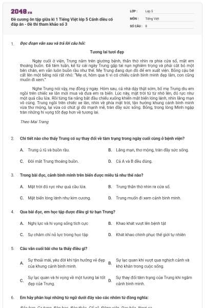 Đề cương ôn tập giữa kì 1 Tiếng Việt lớp 5 Cánh diều có đáp án - Đề thi tham khảo số 3