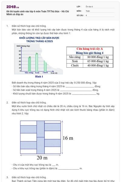 Đề thi tuyển sinh vào lớp 6 môn Toán TP.Thủ Đức - Hồ Chí Minh có đáp án