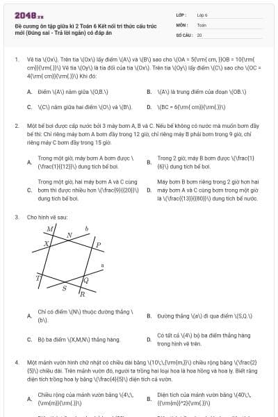 Đề cương ôn tập giữa kì 2 Toán 6 Kết nối tri thức cấu trúc mới (Đúng sai - Trả lời ngắn) có đáp án