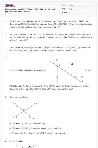 Đề cương ôn tập giữa kì 2 Toán 6 Cánh diều cấu trúc mới (Tự luận) có đáp án - Phần 3