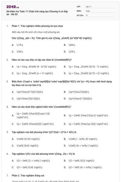 Đề kiểm tra Toán 11 Chân trời sáng tạo Chương 6 có đáp án - Đề 02