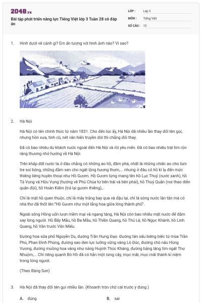 Bài tập phát triển năng lực Tiếng Việt lớp 3 Tuần 28 có đáp án