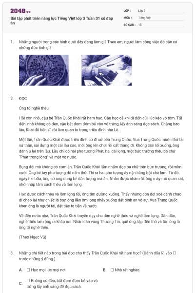 Bài tập phát triển năng lực Tiếng Việt lớp 3 Tuần 31 có đáp án