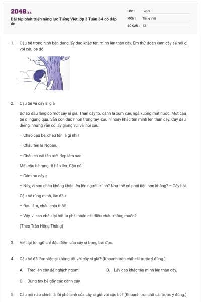 Bài tập phát triển năng lực Tiếng Việt lớp 3 Tuần 34 có đáp án