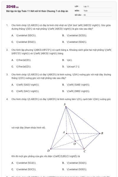 Bài tập ôn tập Toán 11 Kết nối tri thức Chương 7 có đáp án