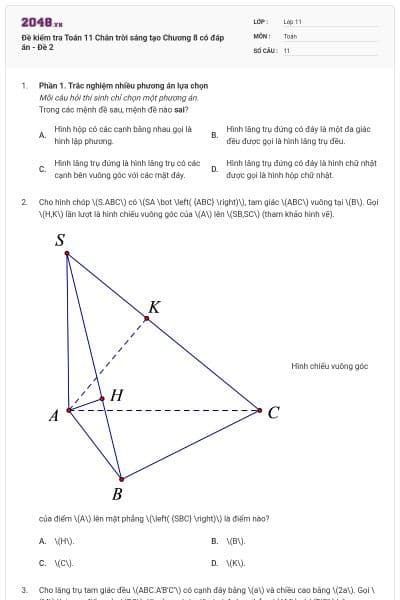 Đề kiểm tra Toán 11 Chân trời sáng tạo Chương 8 có đáp án - Đề 2