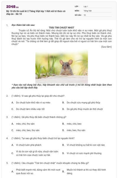 Bộ 10 đề thi cuối kì 2 Tiếng Việt lớp 1 Kết nối tri thức có đáp án - Đề 10