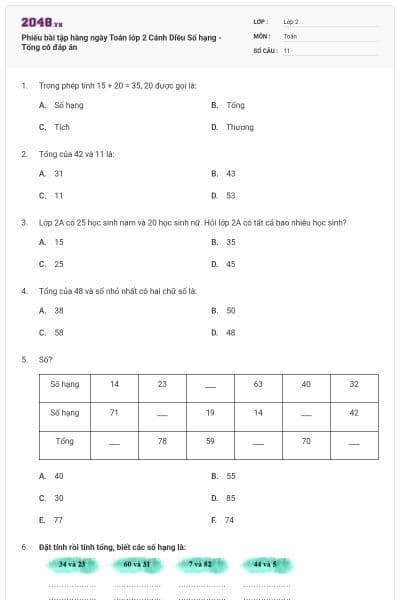 Phiếu bài tập hàng ngày Toán lớp 2 Cánh Diều Số hạng - Tổng có đáp án