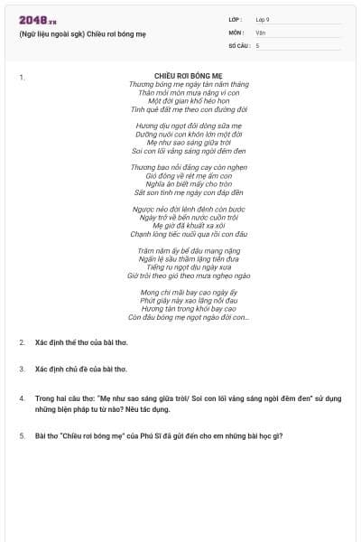 (Ngữ liệu ngoài sgk) Chiều rơi bóng mẹ