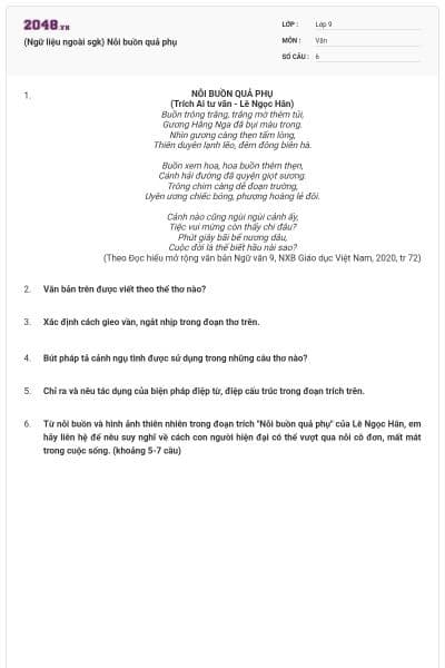 (Ngữ liệu ngoài sgk) Nỗi buồn quả phụ