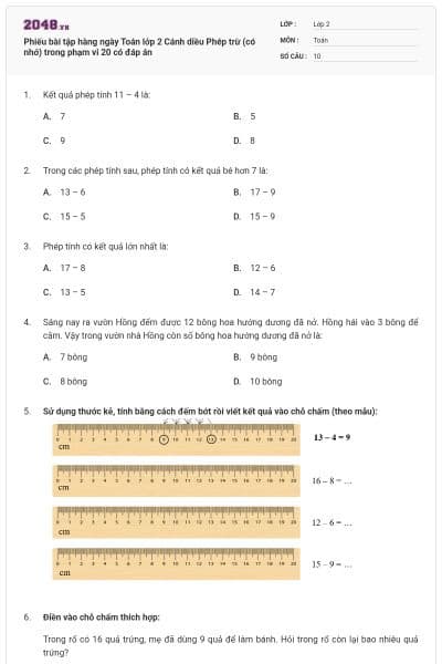 Phiếu bài tập hàng ngày Toán lớp 2 Cánh diều Phép trừ (có nhớ) trong phạm vi 20 có đáp án