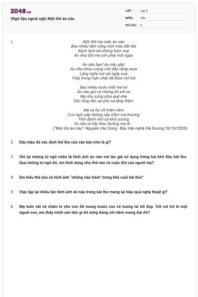 (Ngữ liệu ngoài sgk) Một đời áo nâu