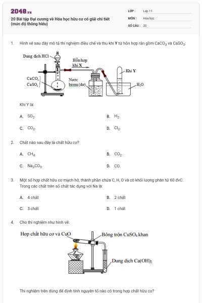 20  Bài tập Đại cương về Hóa học hữu cơ có giải chi tiết (mức độ thông hiểu)