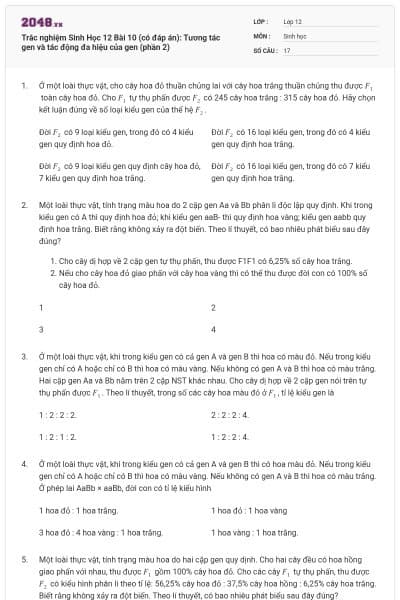 Trắc nghiệm Sinh Học 12 Bài 10 (có đáp án): Tương tác gen và tác động đa hiệu của gen (phần 2)