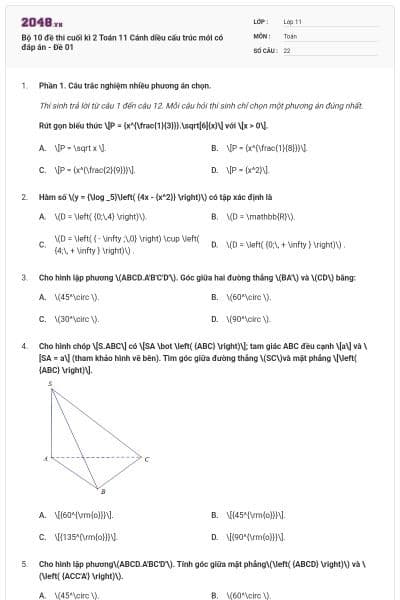 Bộ 10 đề thi cuối kì 2 Toán 11 Cánh diều cấu trúc mới có đáp án - Đề 01