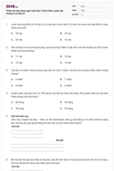 Phiếu bài tập hàng ngày Toán lớp 2 Cánh diều Luyện tập chung 3 có đáp án